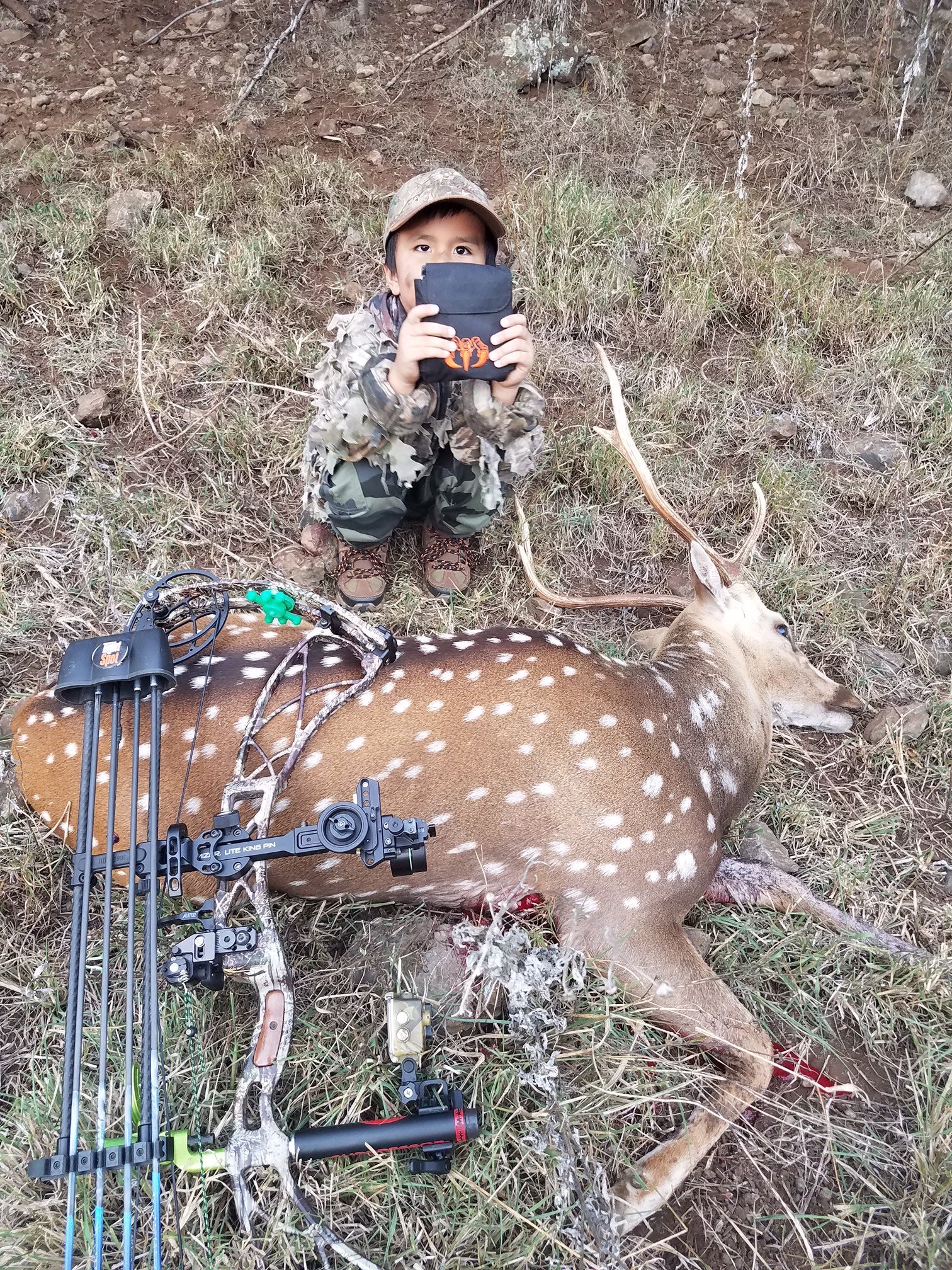 Axis Buck on Maui