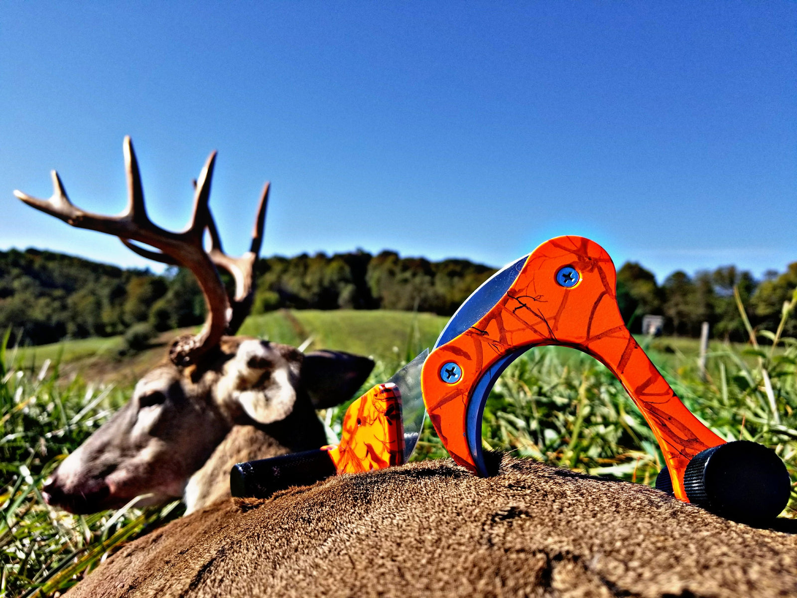 Amazon Rain Chicken and Raptorazor