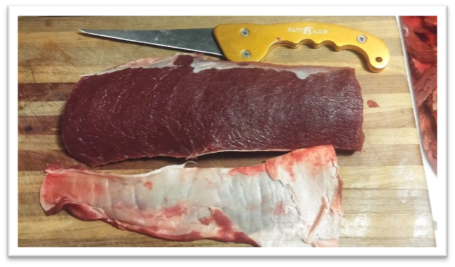 Fillet Mako Raptorazor Skinning Knife